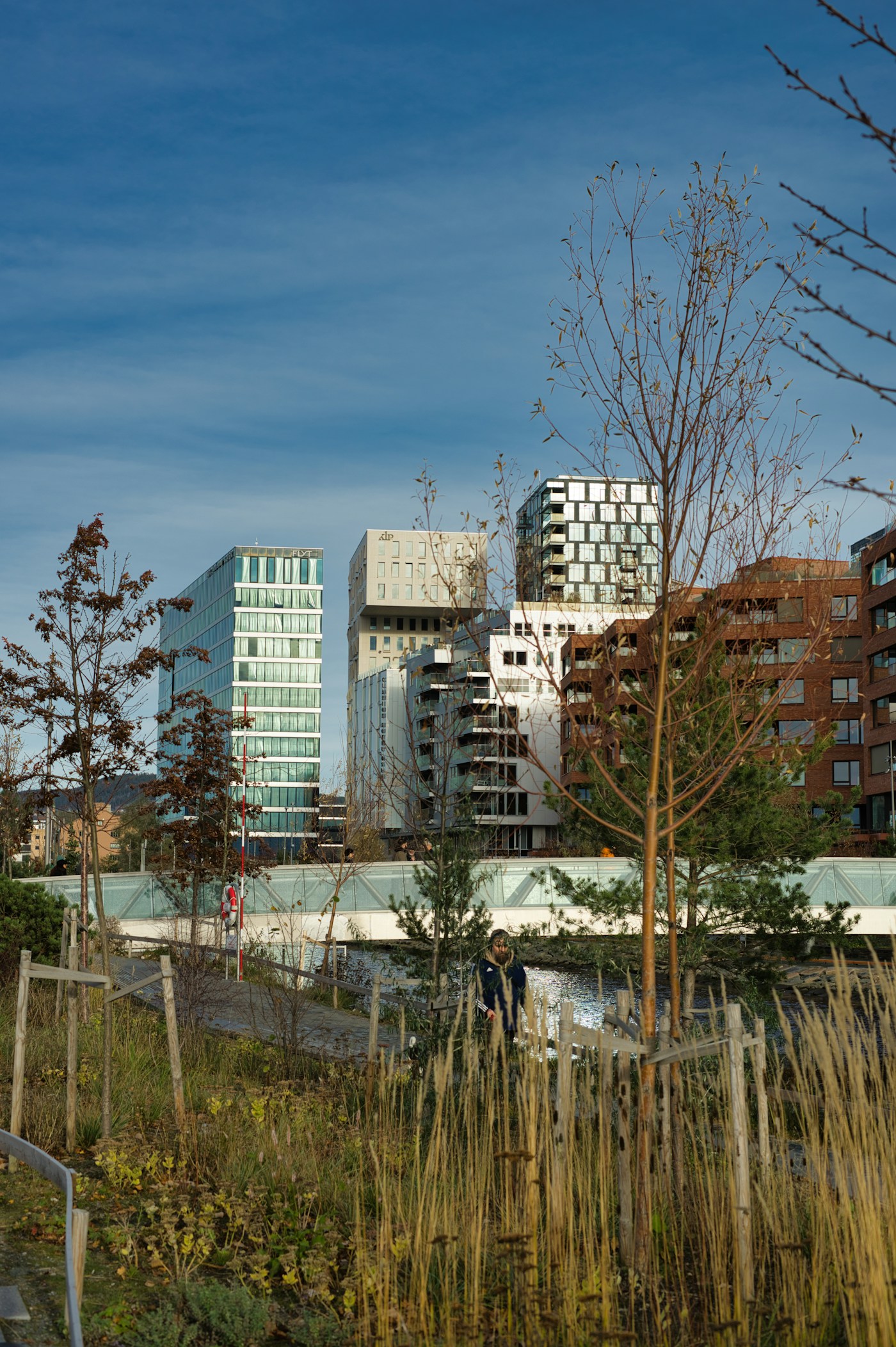 Contemporary Oslo architecture seen across green space